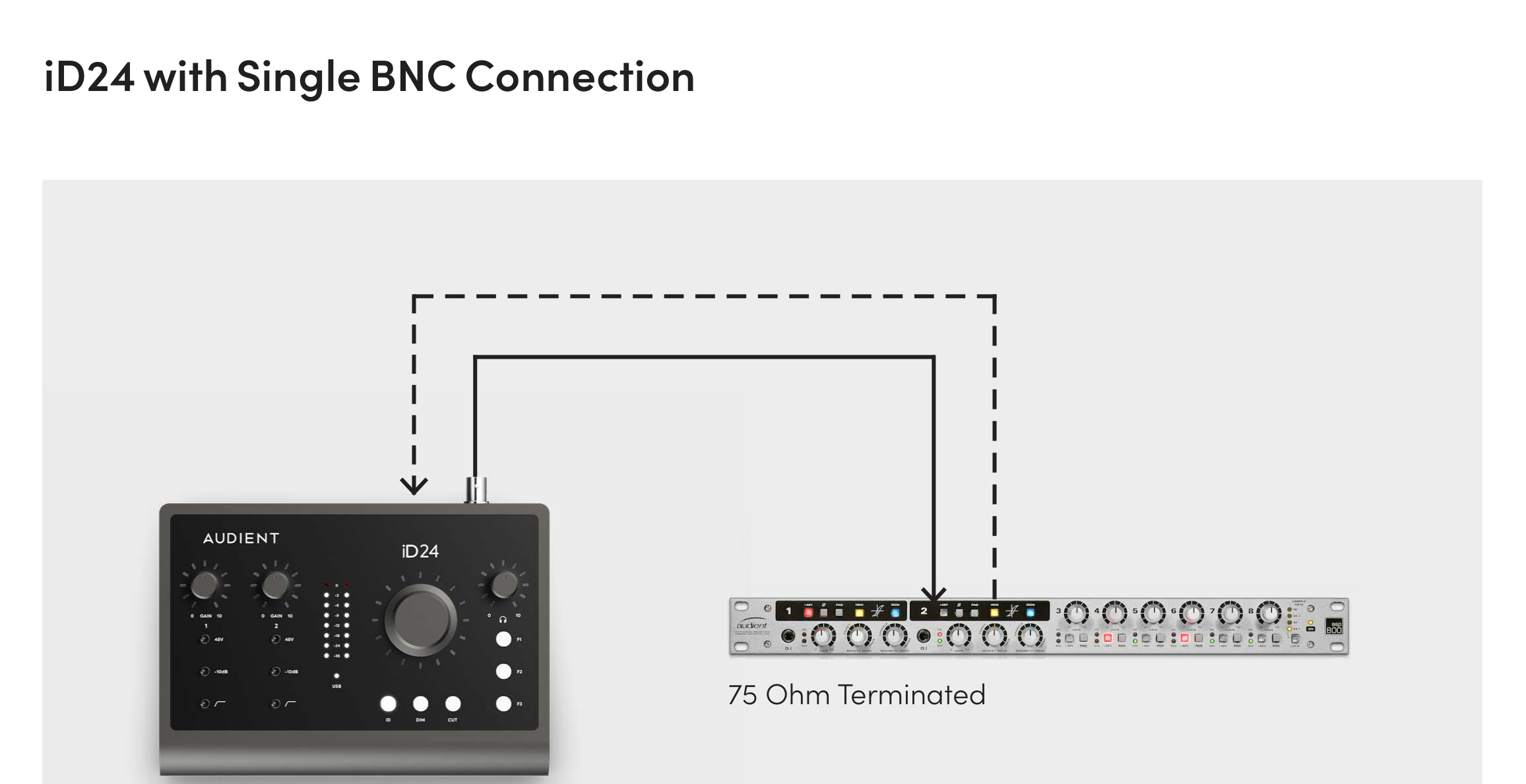 iD24 as clock master using a BNC word-clock connection