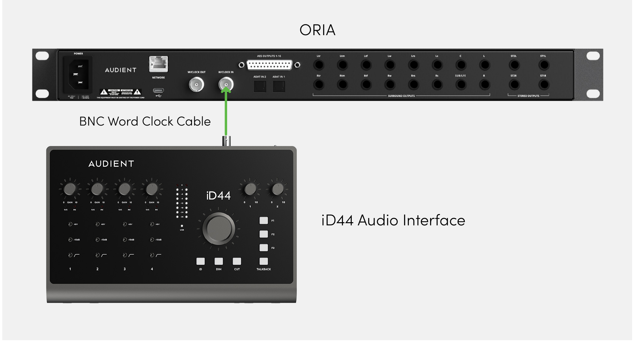 ORIA recevant l’horloge via son entrée BNC Word Clock Input