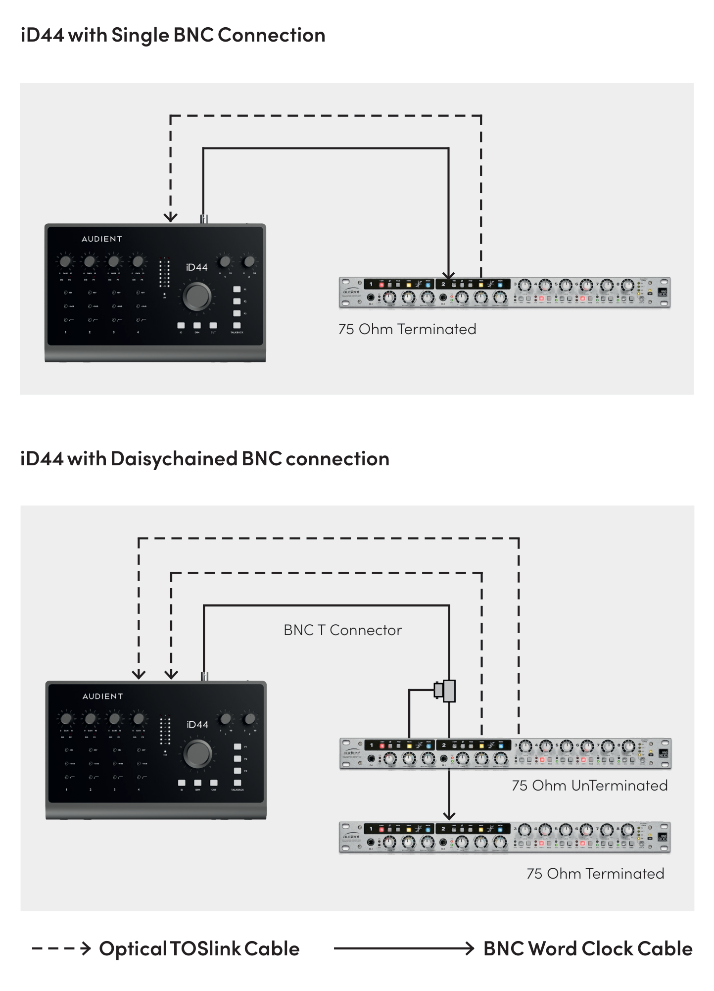 iD44 MKII の単一機器およびデイジーチェーン BNC Word Clock 接続例